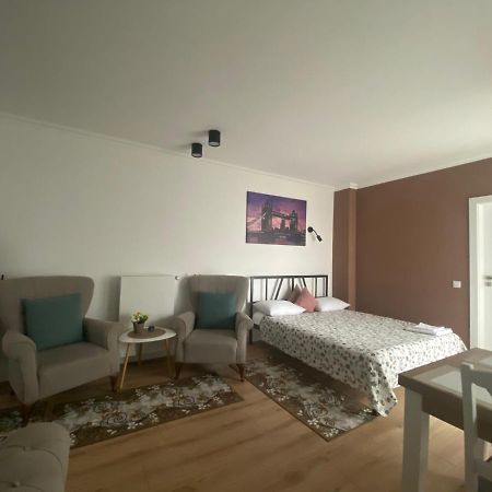 קלוז'-נאפוקה Central Park Apartment מראה חיצוני תמונה