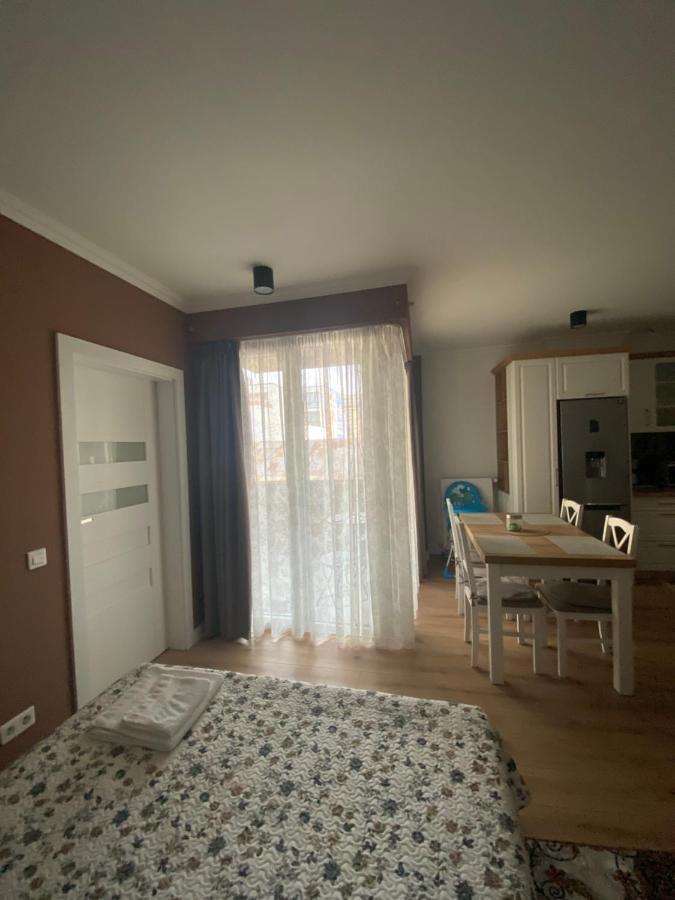 קלוז'-נאפוקה Central Park Apartment מראה חיצוני תמונה